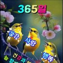 세대 간의 갈등 이미지