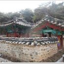 허영정(許潁亭) 티스토리