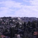 세례농장 이미지