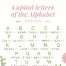 더블유쥐에이치