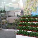 보성녹차골휴게소 이미지