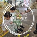 [제주도 2주살기] 동물들과 같이 노는 "새별프렌즈", 알파카한테 침 맞아본사람?!, 수국도 예쁜곳^^