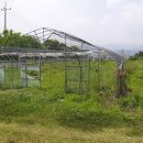 토지보건지소 이미지