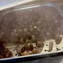 송현동 순대골목 | 대구 송현동 맛집 산더미 미성돼지국밥 내돈내산 방문후기 주차 주의사항 필독