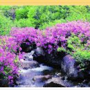 까치소리 이미지