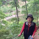 백야리산림욕장 이미지