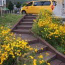 광려천 힐링산책로 이미지