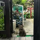 베가스테이