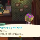 둥지박물관 이미지