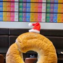 더 쉐어 서울 | 성북동 카페 '디어드립앤베이글' 1호점, 케이글+쉐어드립커피 솔직후기 (국내 유일 쉐어 드립커피 ☕️)