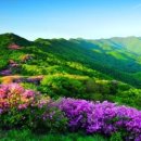 명산빌딩 이미지