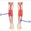 조태환한의원 이미지