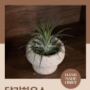 달리하우스 이미지