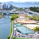 안양천 산책로 이미지