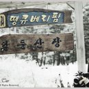 은행나무목장 이미지