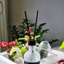 스테이 선물같은시간 | 디퓨저추천, 집들이선물추천! 향수같은디퓨저 찾는다면 스테이노트 디퓨저