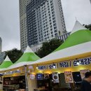 울산 중구 태화강 마두희축제 다녀온 후기