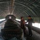 이경숙농장 이미지