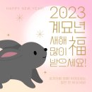 한양대 21세기 태권도장 이미지
