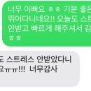 꽁꼼하개 이미지
