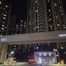 멍멍캐슬 네이버블로그