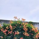 힐링(카페) 코스 이미지