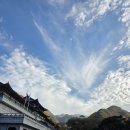 장다리 마늘약선 이미지