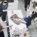 바로 동물병원 이미지