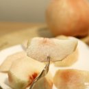 광운관광농원 이미지