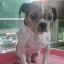 금정동주민센터 이미지