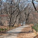 경남함양이은349 이미지