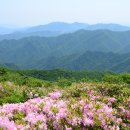 천상의 화원 덕유산 /포토에세이 이미지