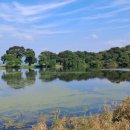 반곡지마을 이미지