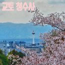 청수사 | 교토 당일치기 청수사 :: 기요미즈데라 후기 ᦂ