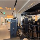 라이프헬스PT 이미지