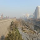 죽음도 갈라놓지 못한 사랑 이미지