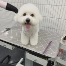 쁘니살롱