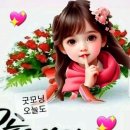 행복한하루 이미지