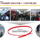 현대8호 이미지