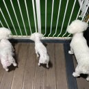 투독플레이스 이미지