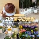 화정목장 | 경기도 고양시 가볼만한곳 물구리빵집 거위와 꽃이 있는 식물원 카페