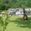 구룡골샘물 이미지