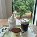 천지목장 | 제주도 목장카페 밭디/ 말 당근주기 체험 솔직 후기 말이 착하고 귀여움/ 제주도 가볼만한 곳 추천