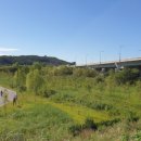 심강경희한의원 이미지