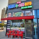 엠티브이17로 이미지