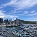 버블스타 이미지