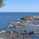 낙산의상대 이미지