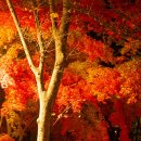 양재(야간) 이미지