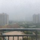 에코타운3단지@ 이미지