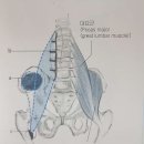 무브피티 이미지